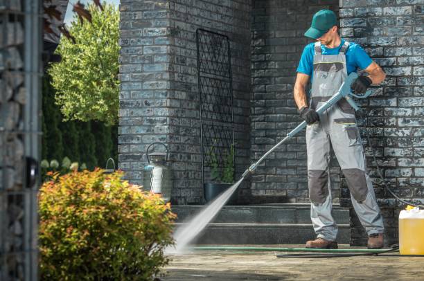 Best Fence Cleaning  in Cullman, AL